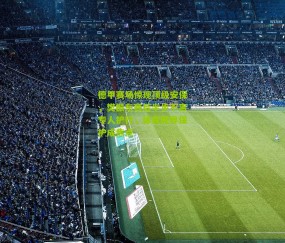 德甲赛场惊现顶级安保，樊振东赛后半步不离专人护行，体育跨界保护成焦点