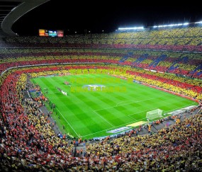 杨希自信表态引热议，中超历练铸就铁闸，国足防线无惧越南挑战