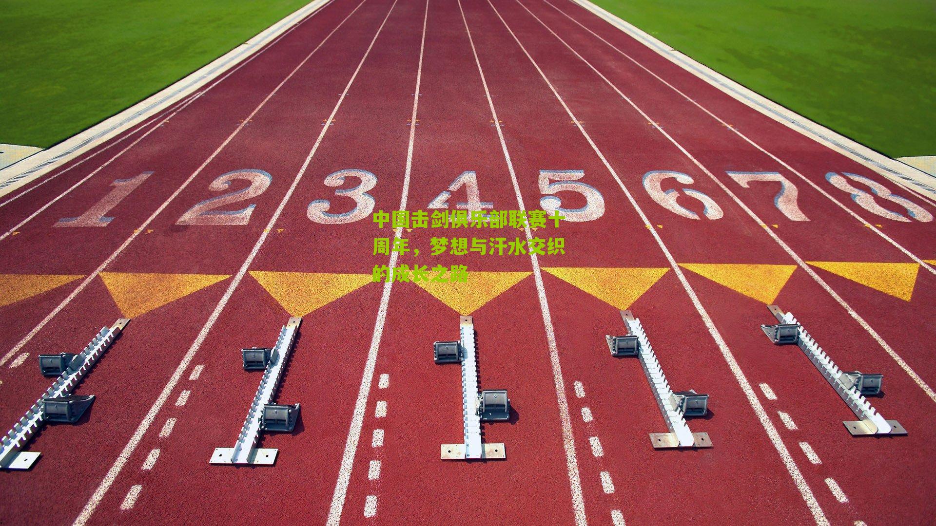 中国击剑俱乐部联赛十周年,梦想与汗水交织的成长之路